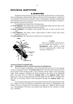 What is entomology - Lecture notes - Bsc zoology - Studocu