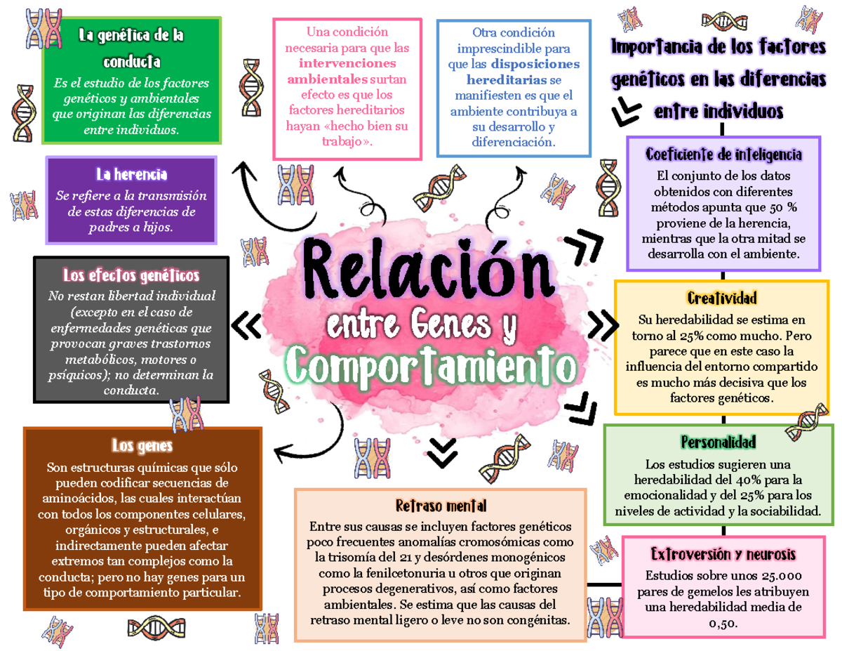 Mapa Mental De Los Genes Y El Comportamiento Pdf Relaci N