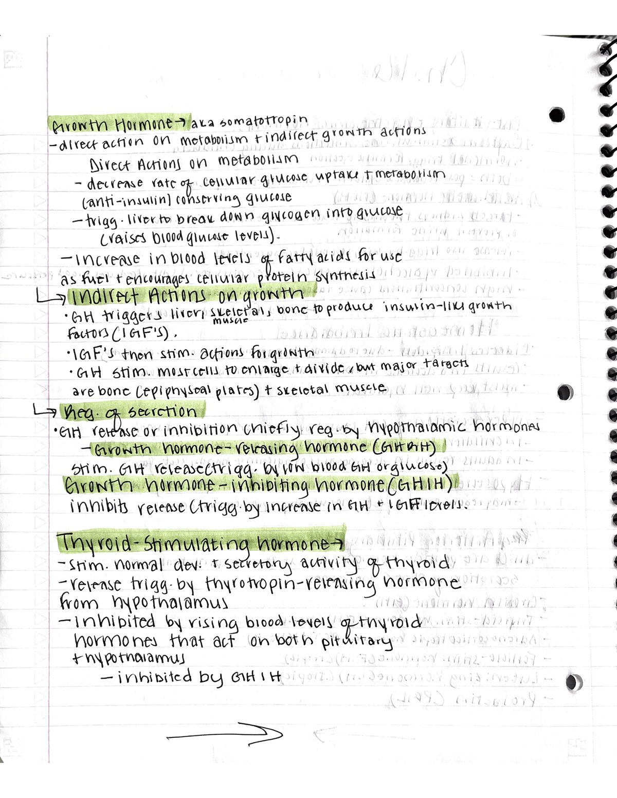 PDF Anatomy - These notes were taken in class. Exam Prep. - BIOS 214 ...