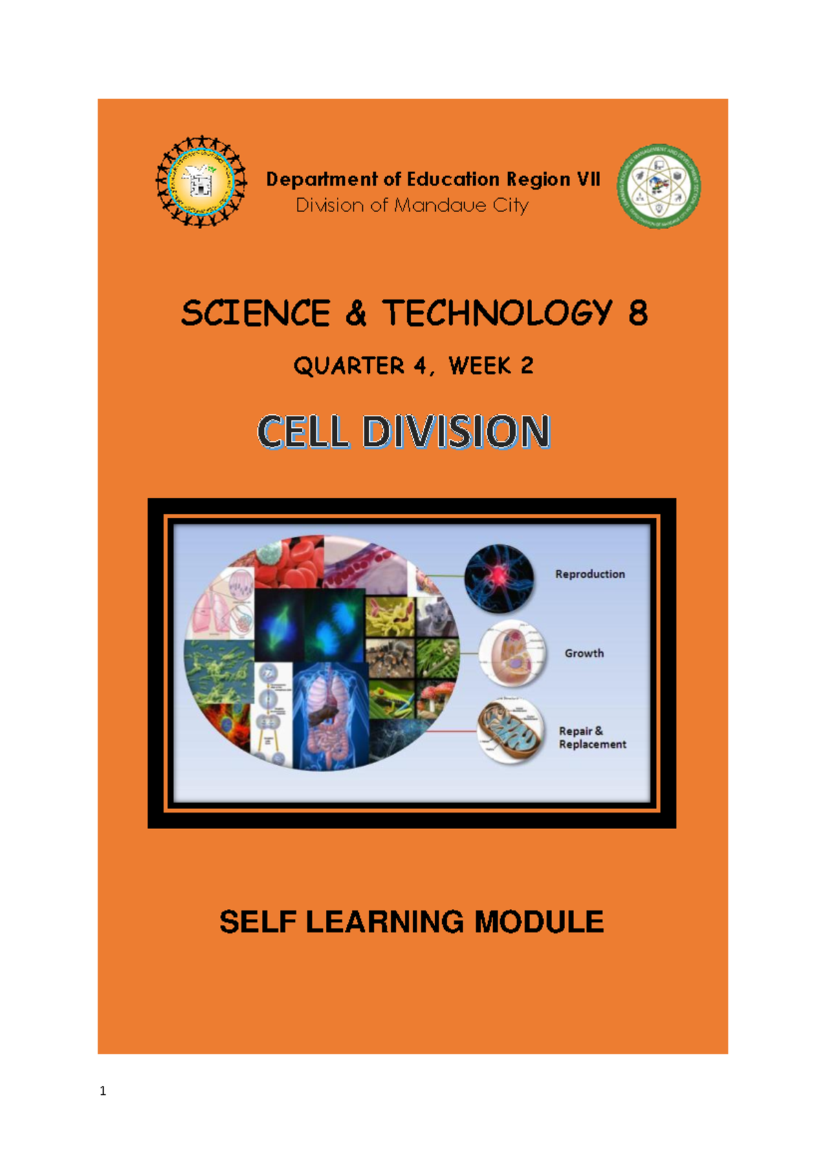 SLK sci8 Q4 W2 - Department of Education Region VII Division of Mandaue ...