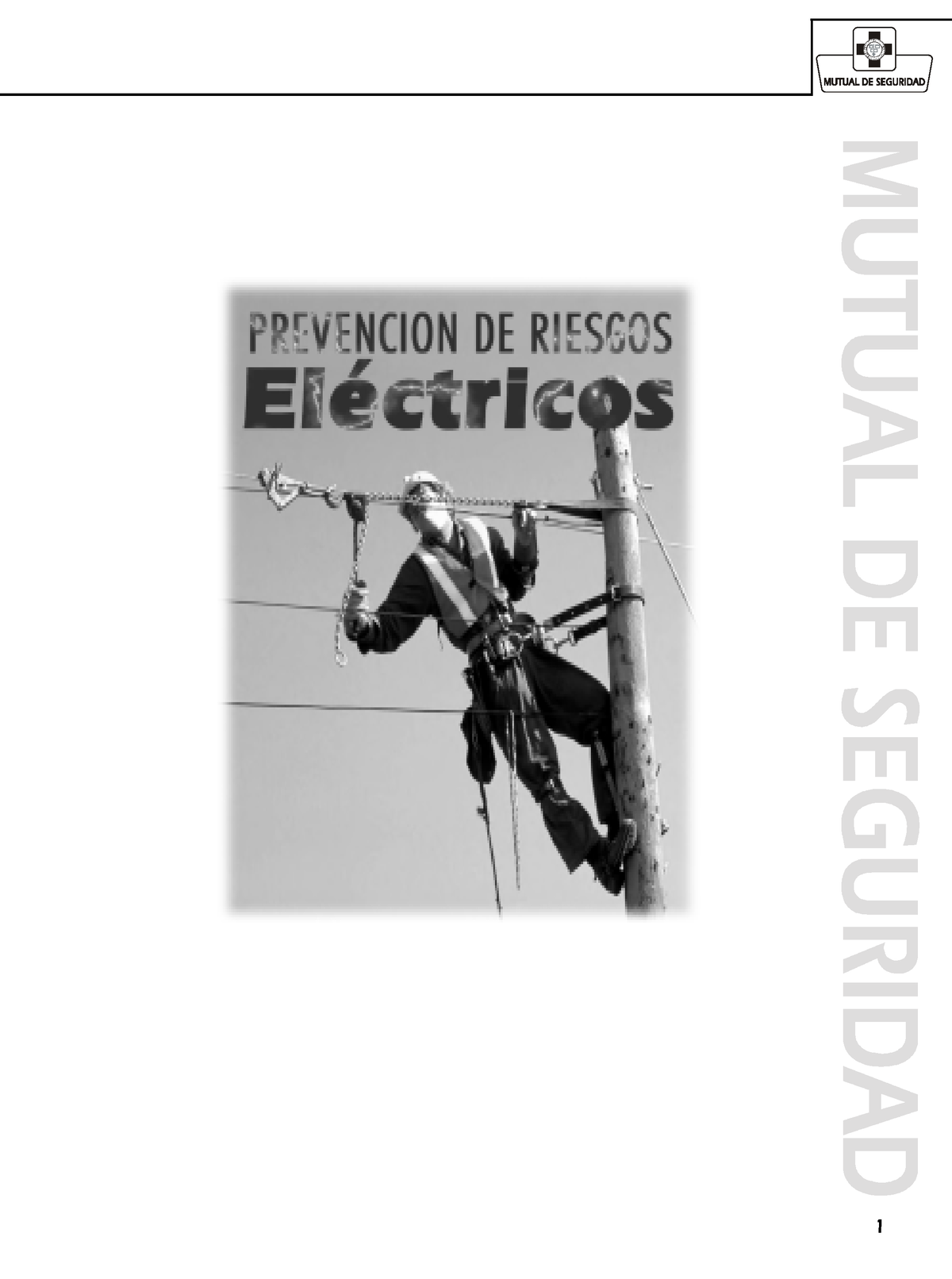 24 Prevencion De Riesgos Electricos Caracteristicas De Las Cortadoras De Cecin Riesgos 7038