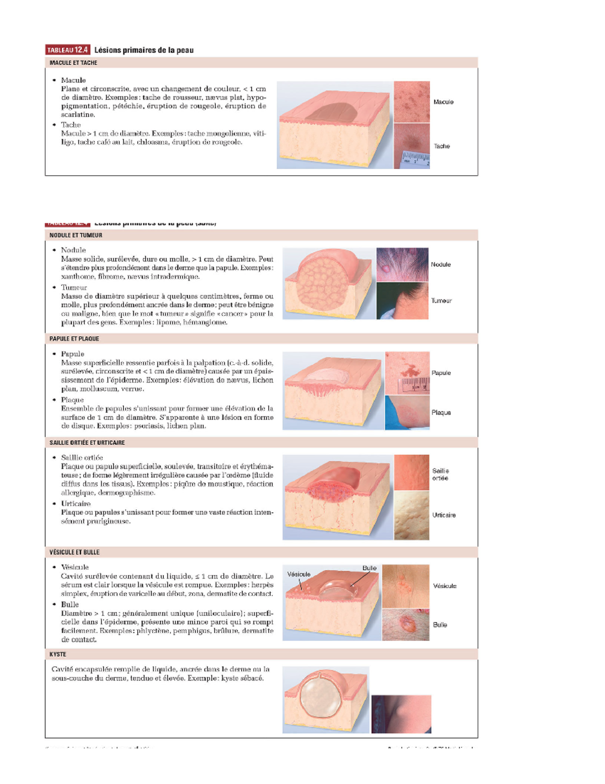 Skin care assessment - ANP 1105 - Studocu