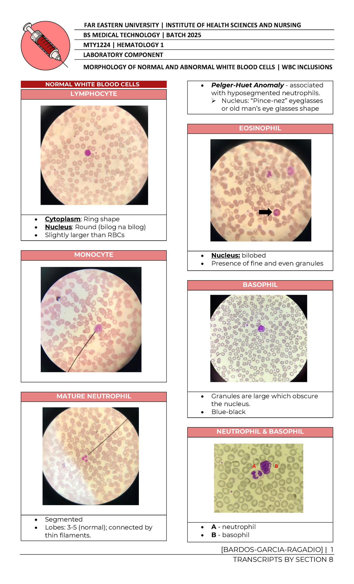 MORPHOLOGY OF NORMAL AND ABNORMAL WBC WBC INCLUSIONS FAR EASTERN