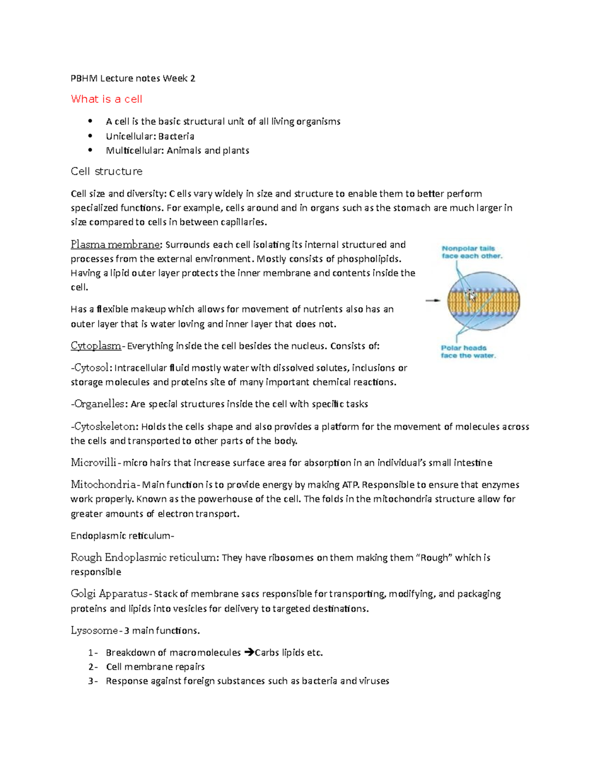 PBHM Lecture notes Week 2 - For example, cells around and in organs ...