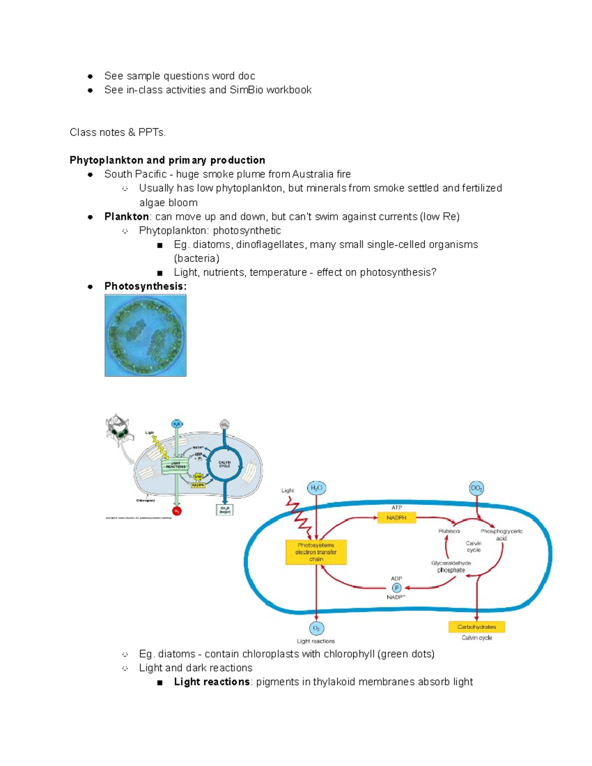 Bio Exam 2 Study Guide Biological Oceanography Notes See Sample