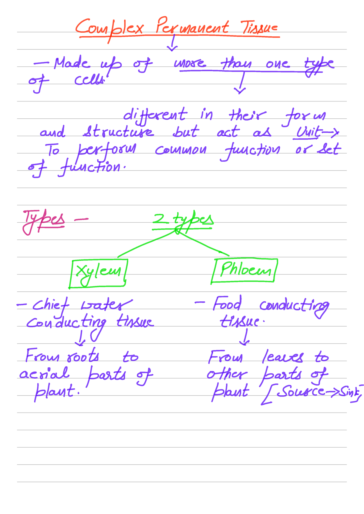 PLANT ANATOMY - 2 (Types of tissue ) - Anatomy - Studocu