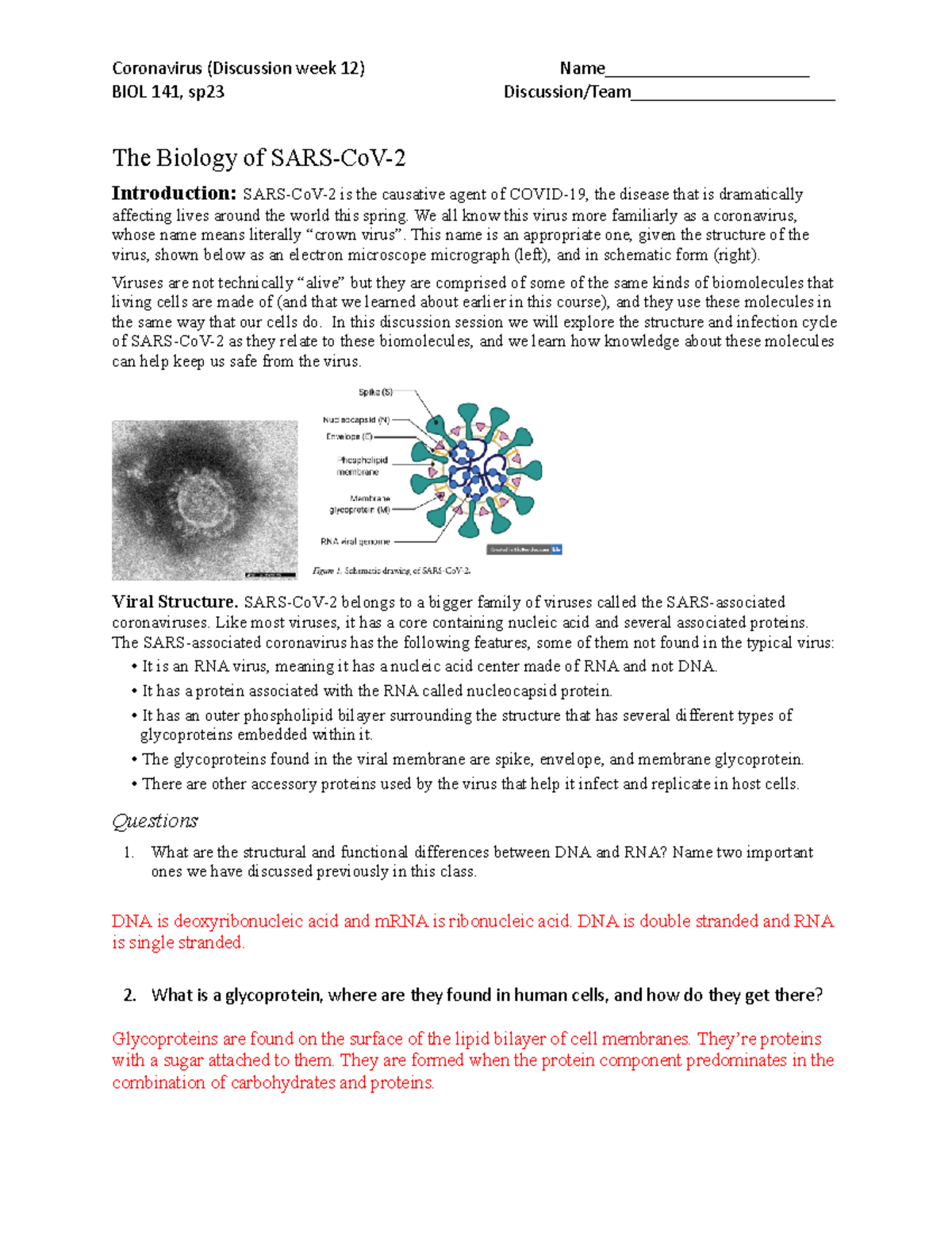Covid-19 discussion worksheet - Coronavirus (Discussion week 12) Name
