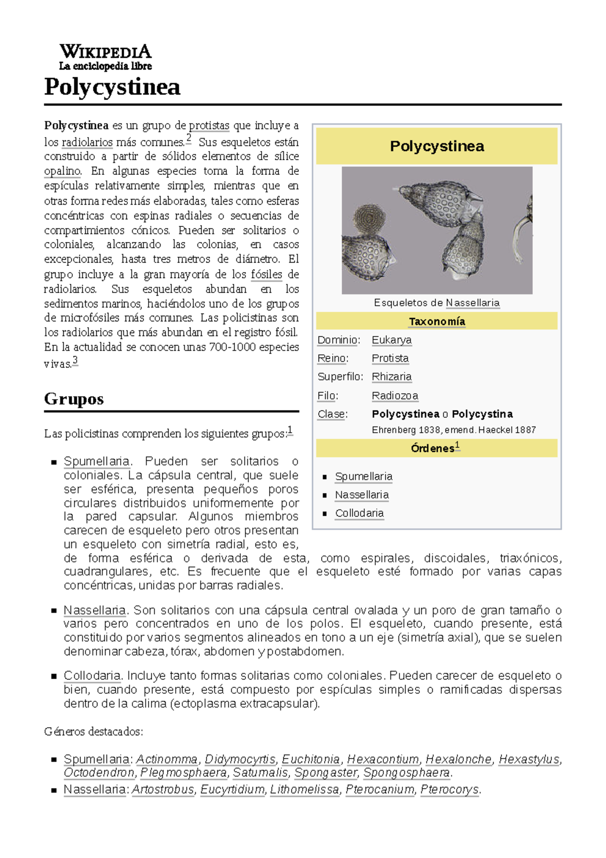 Polycystinea - Universidad tecnologica - Polycystinea Esqueletos de ...