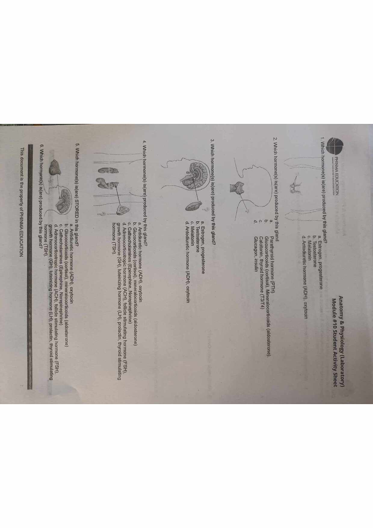 Sas 10 - HES006 - PHINMA EDUCATION Anatomy Physiology (Laboratory ...