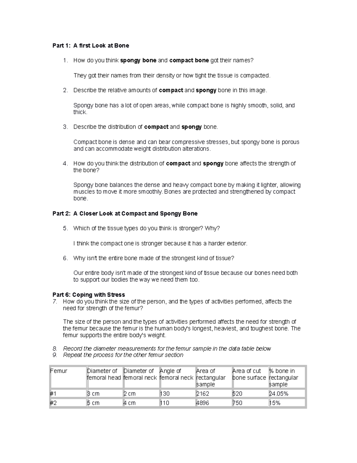Image J Lab Looking at Bone Data Sheet Part 1 A first Look at Bone
