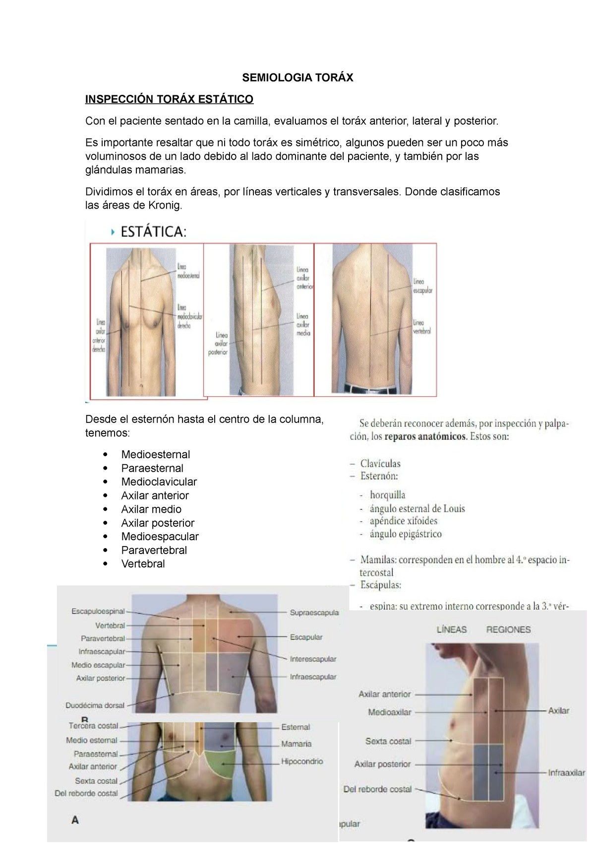 Respiratorio Medicina I Pr Ctica Semiologia Tor X Inspecci N Tor X Est Tico Con El Paciente