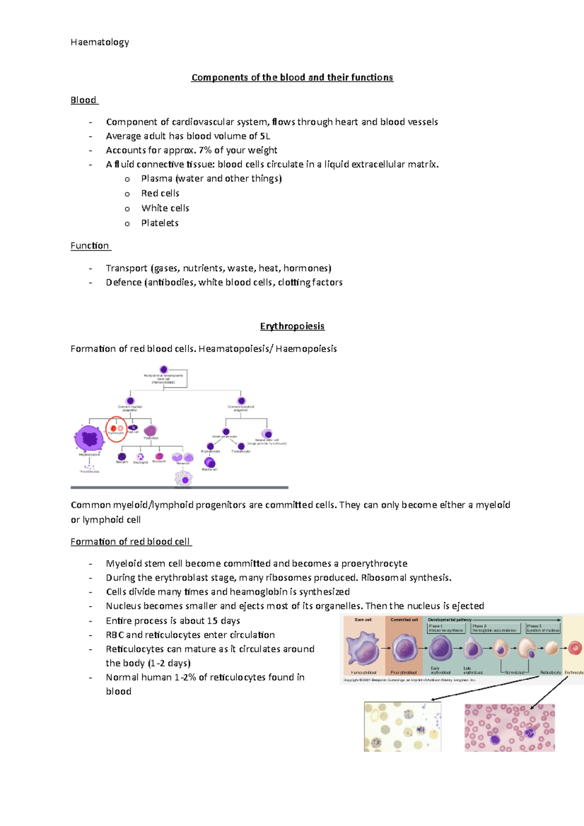 Heamotology I - lecture notes - Components of the blood and their ...