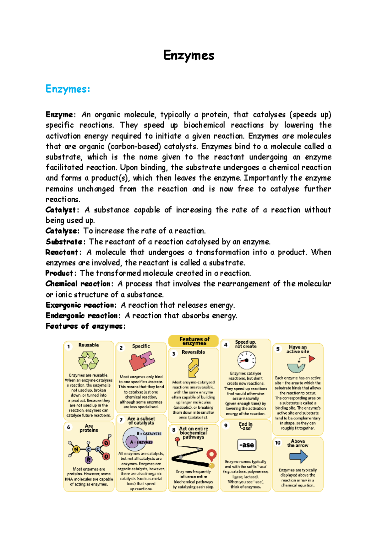 Enzymes.. Enzymes Enzymes Enzyme An organic molecule