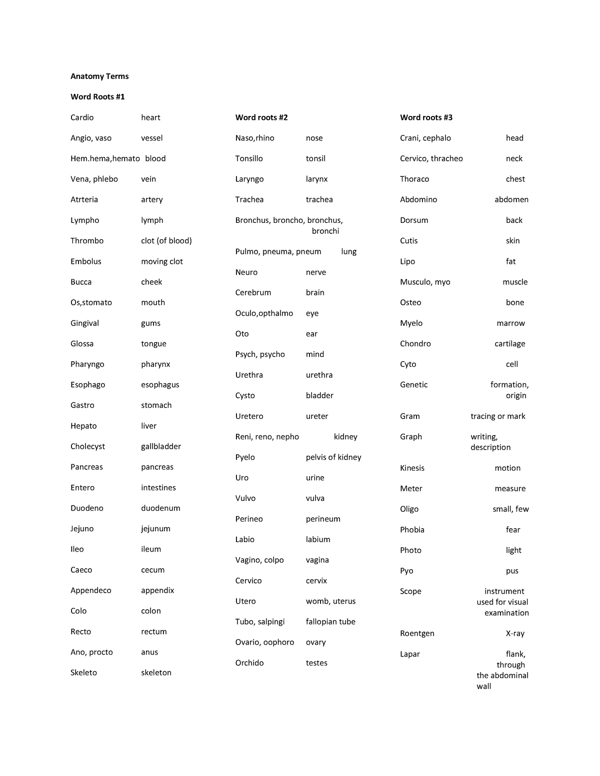 anatomy-terms-nothing-anatomy-terms-word-roots-cardio-heart-angio