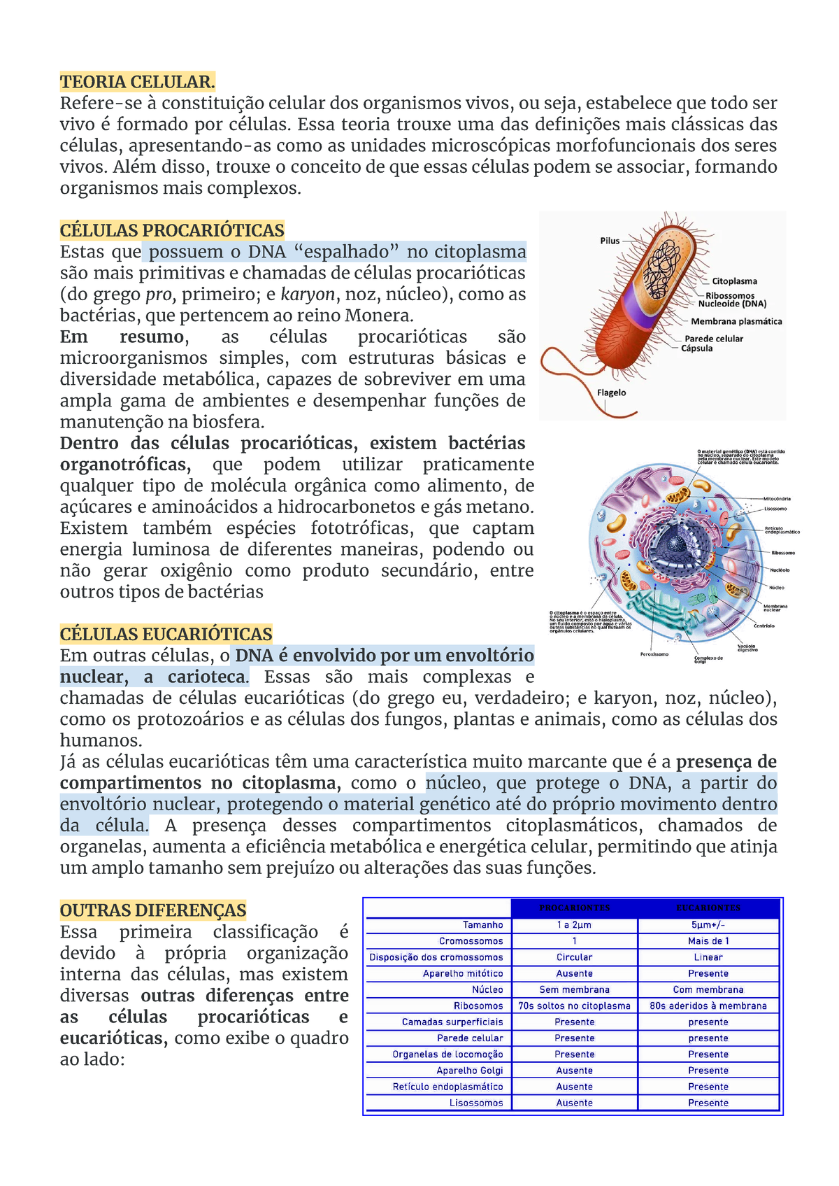 Unidade Bases Da Biologia Celular Molecular E Tecidual Per Odo Teoria Celular Refere