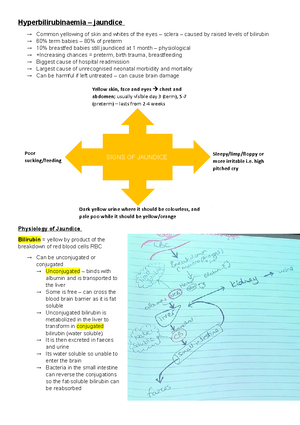 The Breast - Notes From Lectures With Sources From Powerpoints ...