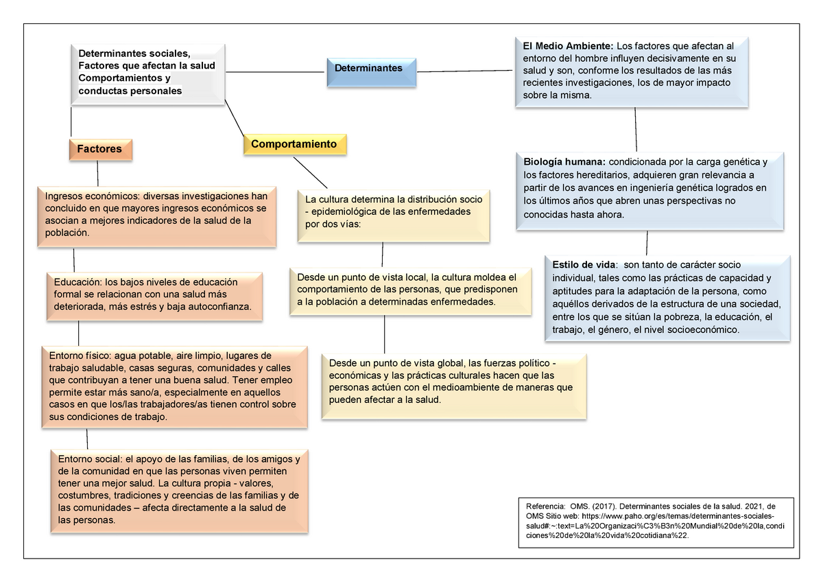 Act2 Mjss Mapa Conceptua Determinantes Sociales Factores Que Afectan La Salud 1734