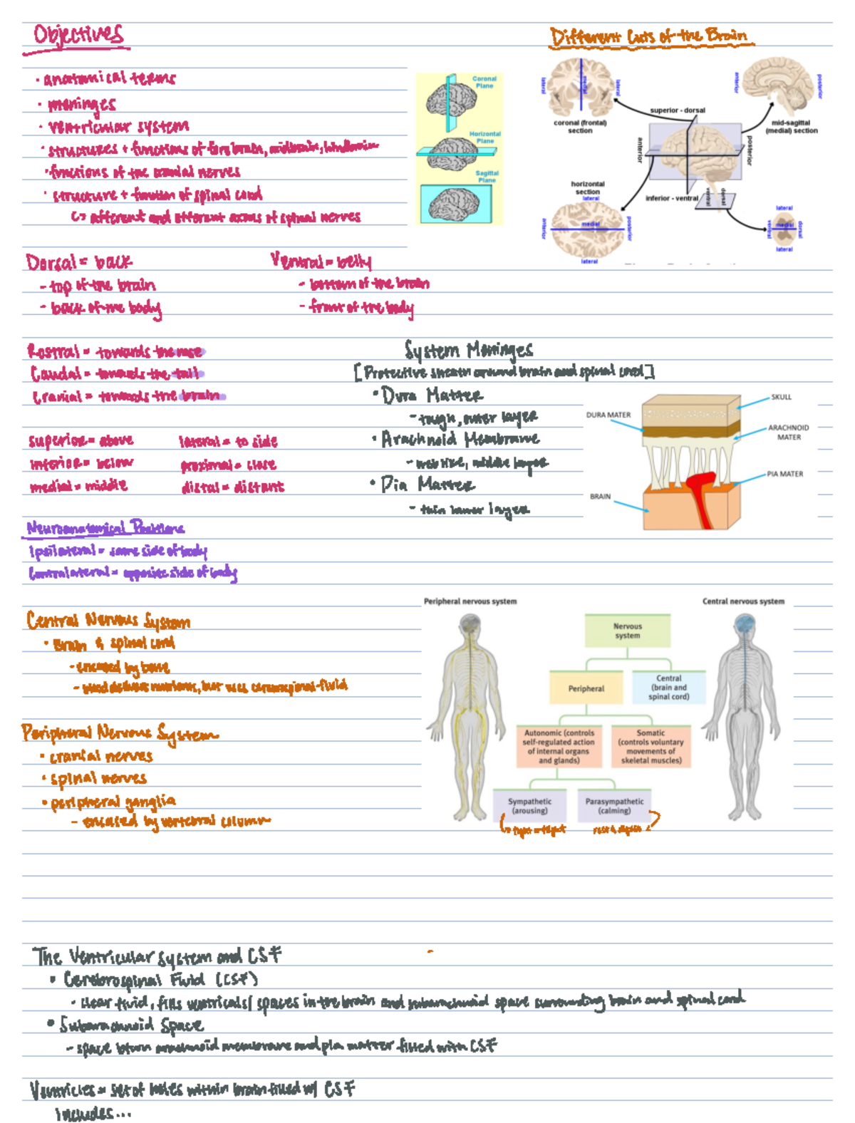 Week 1 Discussion Notes- psyc 110 - Objectives Different Cuts of the ...