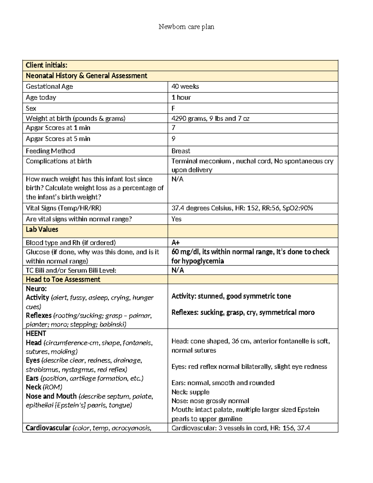 Newborn Care Plan Worksheet - Client initials: Neonatal History ...