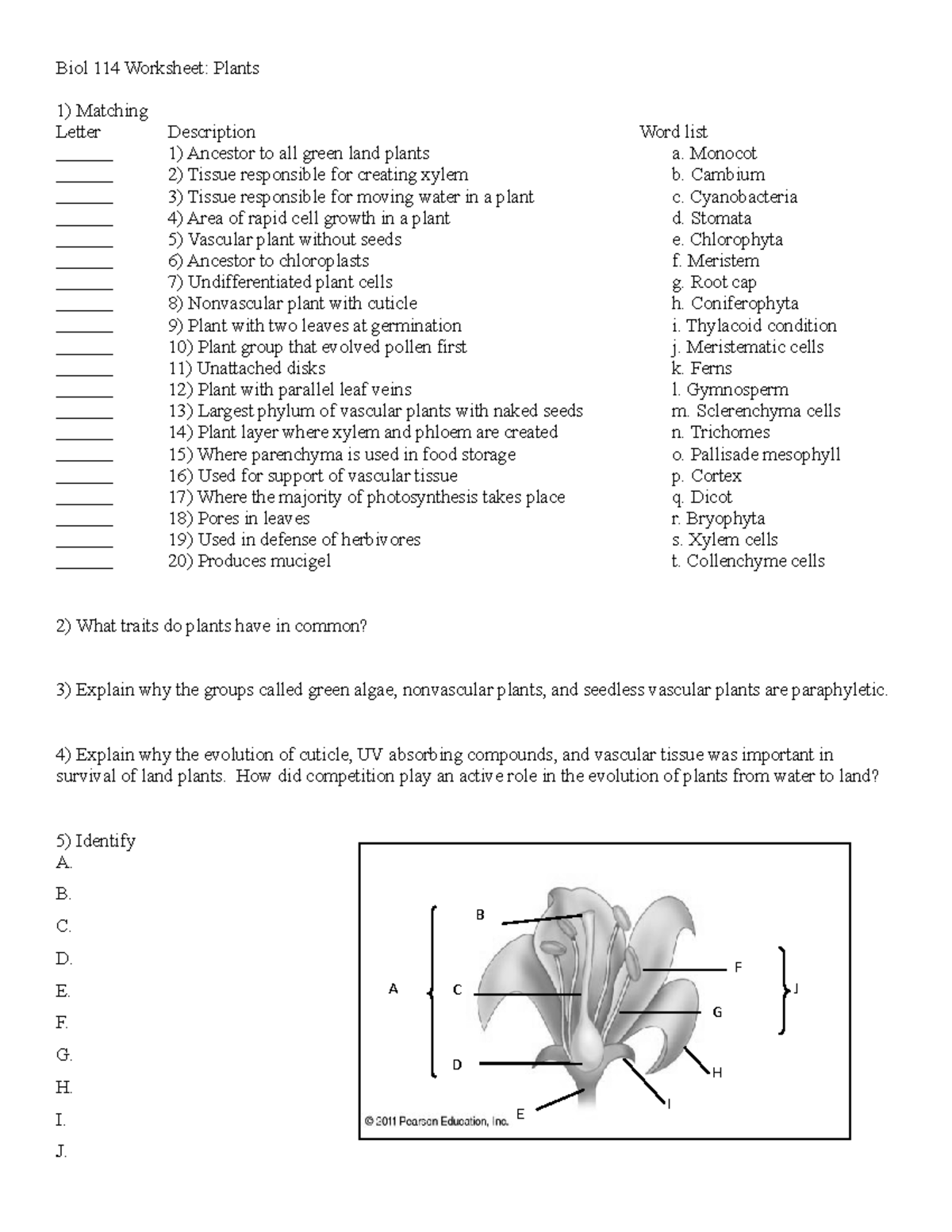 In-class worksheet - Plant evolution and diversity - Biol 114 Worksheet ...