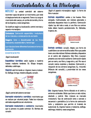 Anatomia Generalidades De La Miologia Generalidades De La Miolog La Unidad Studocu