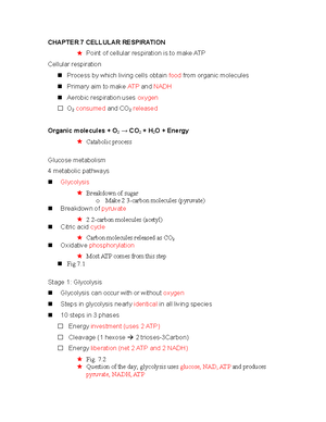 Chapter 4 Protein Structure and Function - Chapter 4 Protein Structure ...