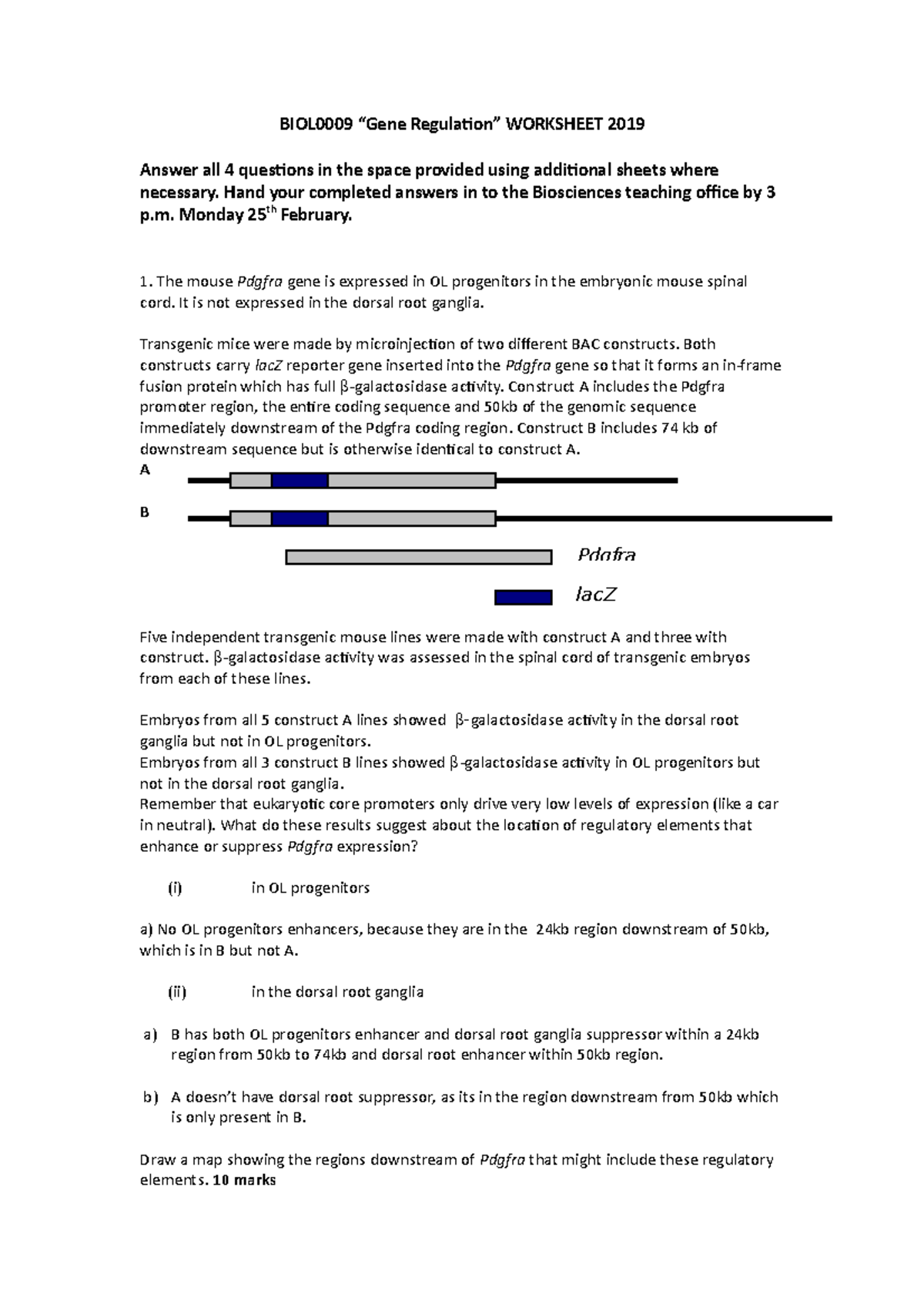 Regulation Worksheet 19 BIOL0009 “Gene Regulation” WORKSHEET 2019