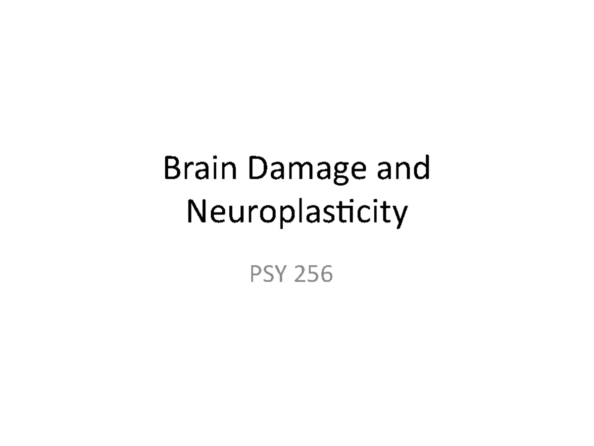 Lecture Notes Lecture Brain Damage Brain Damage And Neuroplasticity