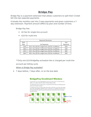 bridgepay cricket