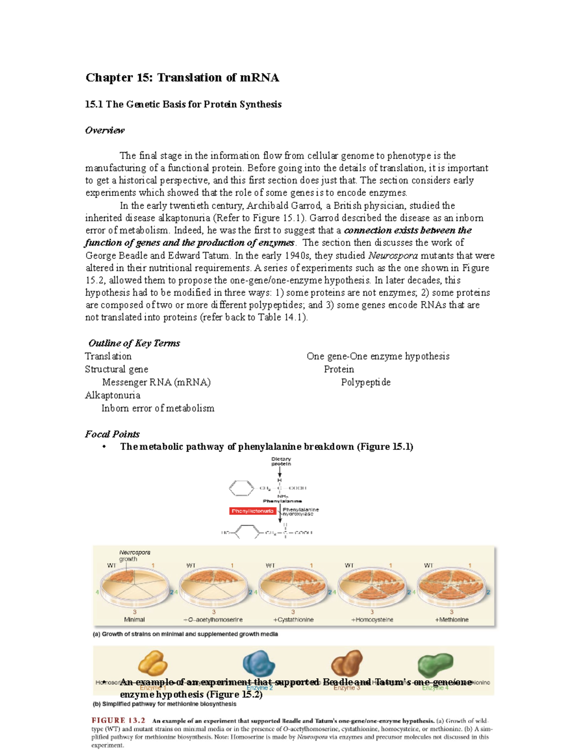 Chapter 15 Translation of mrna - Chapter 15: Translation of mRNA 15 The ...