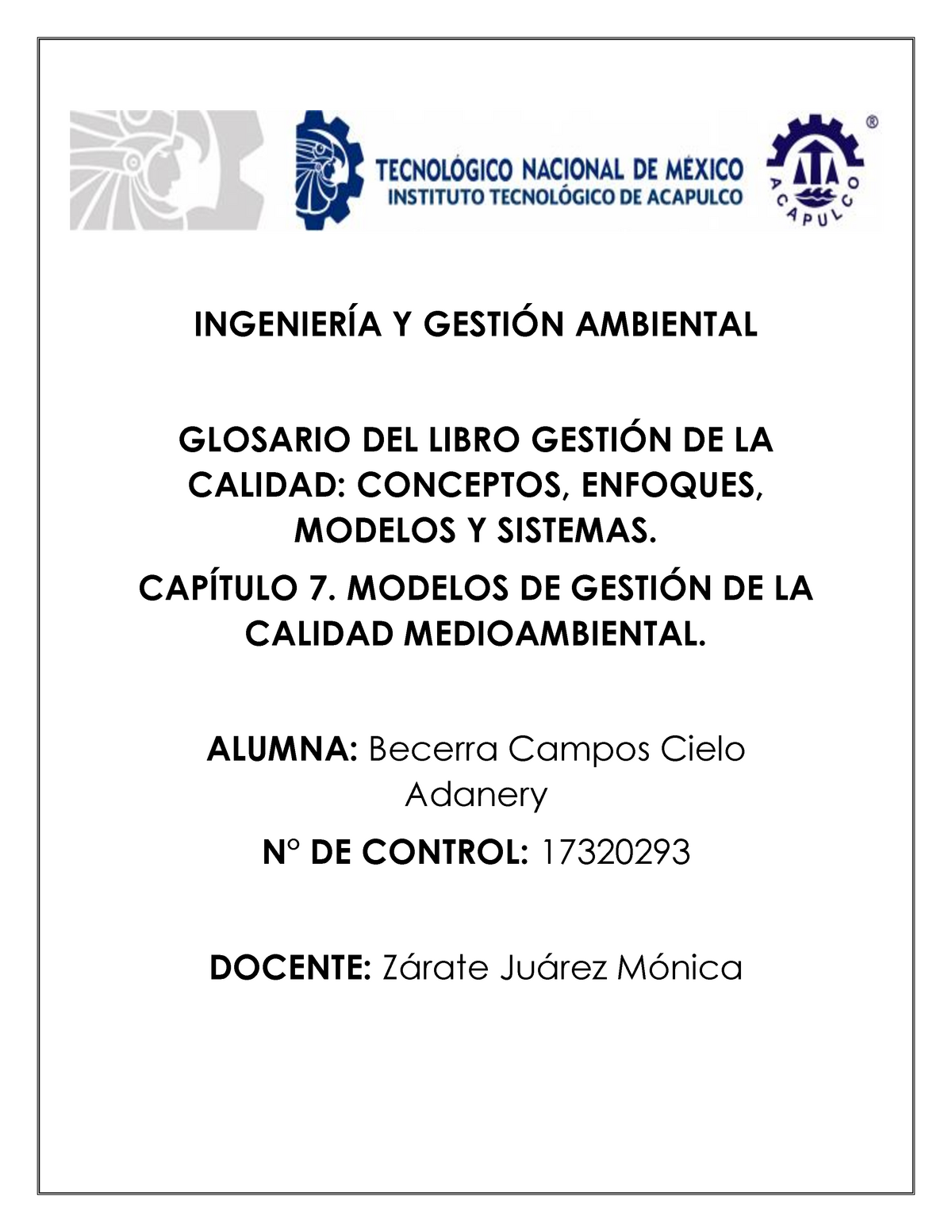 Glosario Capítulo 7 Gestion Y Medio Ambiental - INGENIERÍA Y GESTIÓN ...