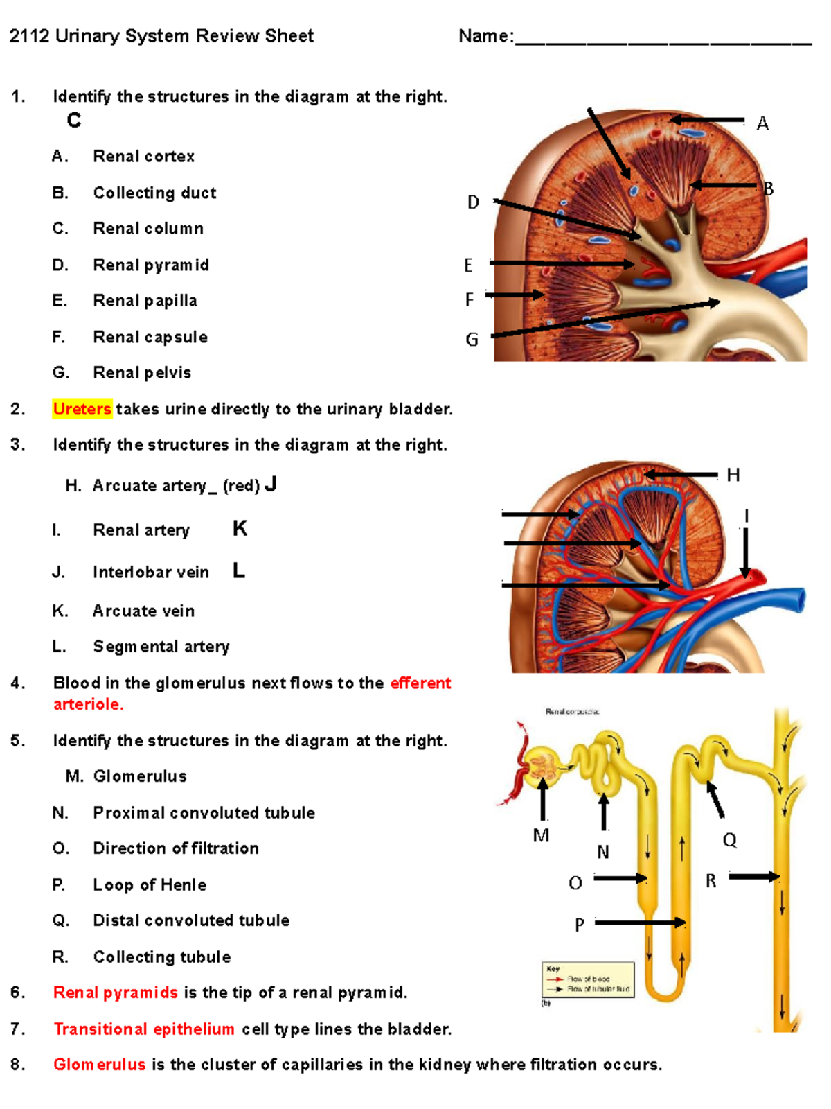 2112 Urinary System Review- Tamauri Wilson - 2112 Urinary System Review ...