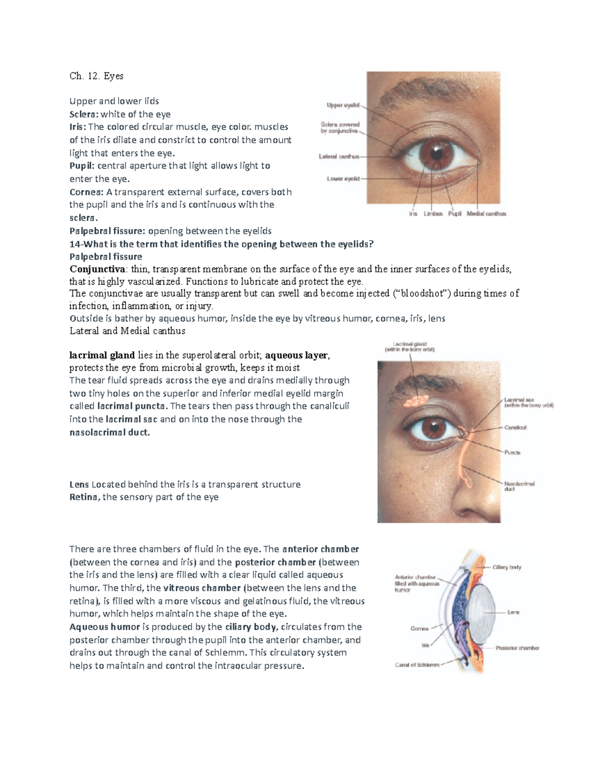 Eye Exam Notes Examples – 9 Types of Eye Tests in Eye Exams – QUVLY