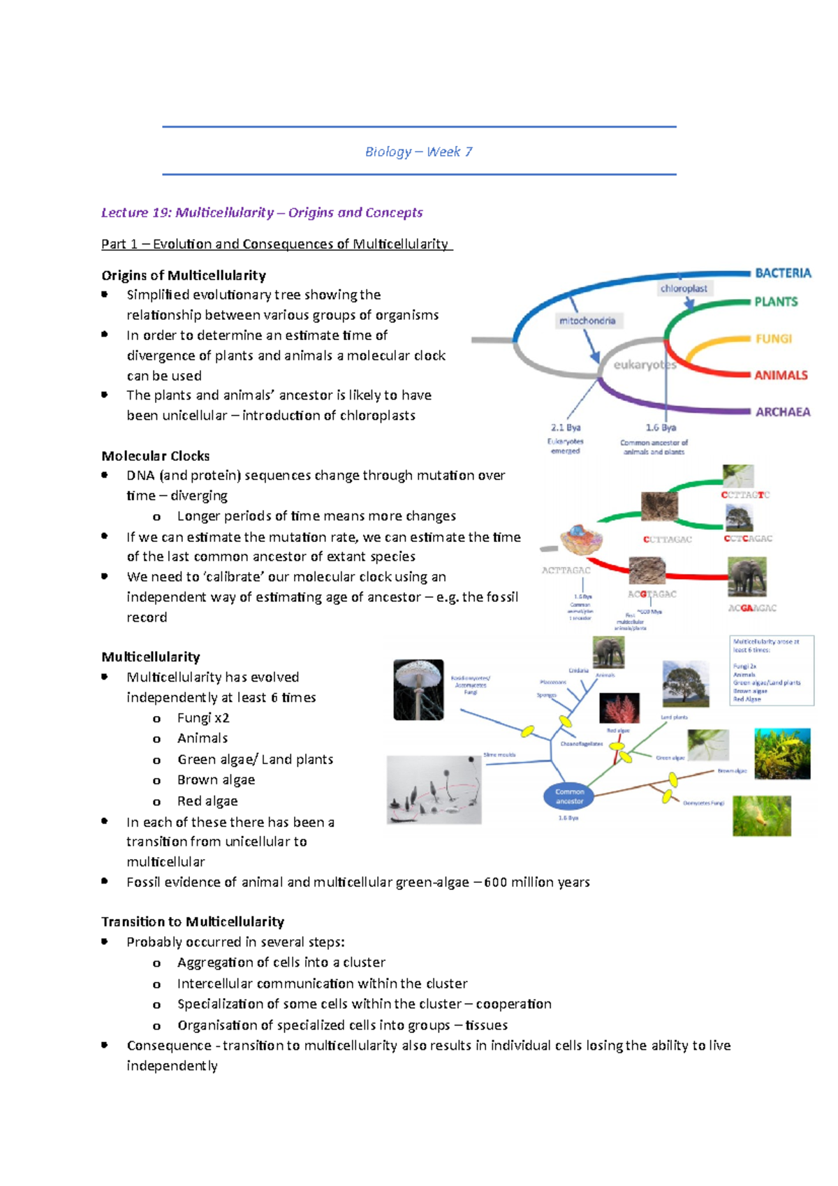 Week 7 - Lecture Notes - Biology – Week 7 Lecture 19: Multicellularity ...