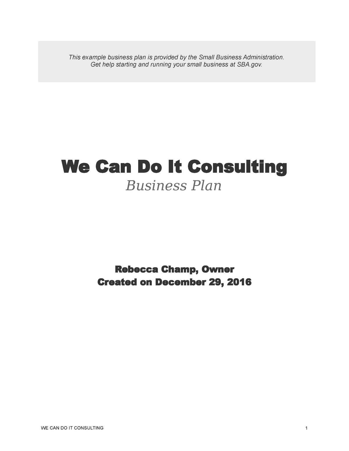 it consulting business plan sample