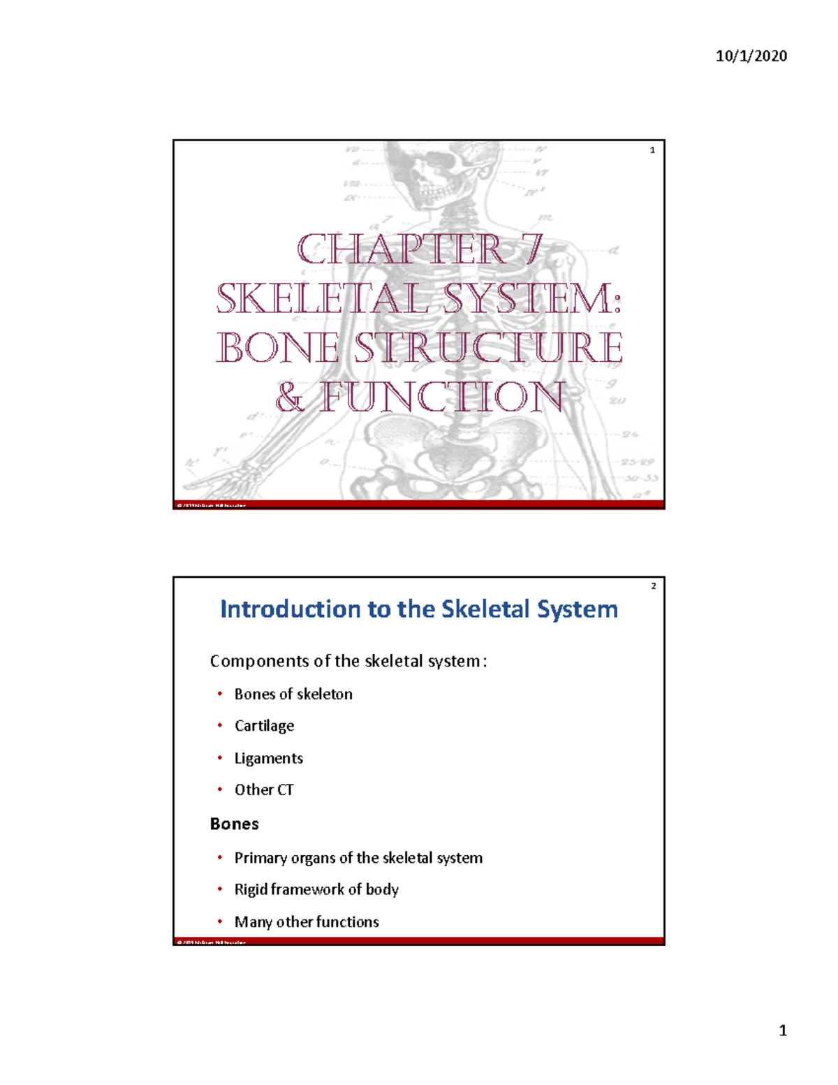 Chapter 7 anatomy Slides- Part I - © 2019 McGraw-Hill Education© 2019 ...