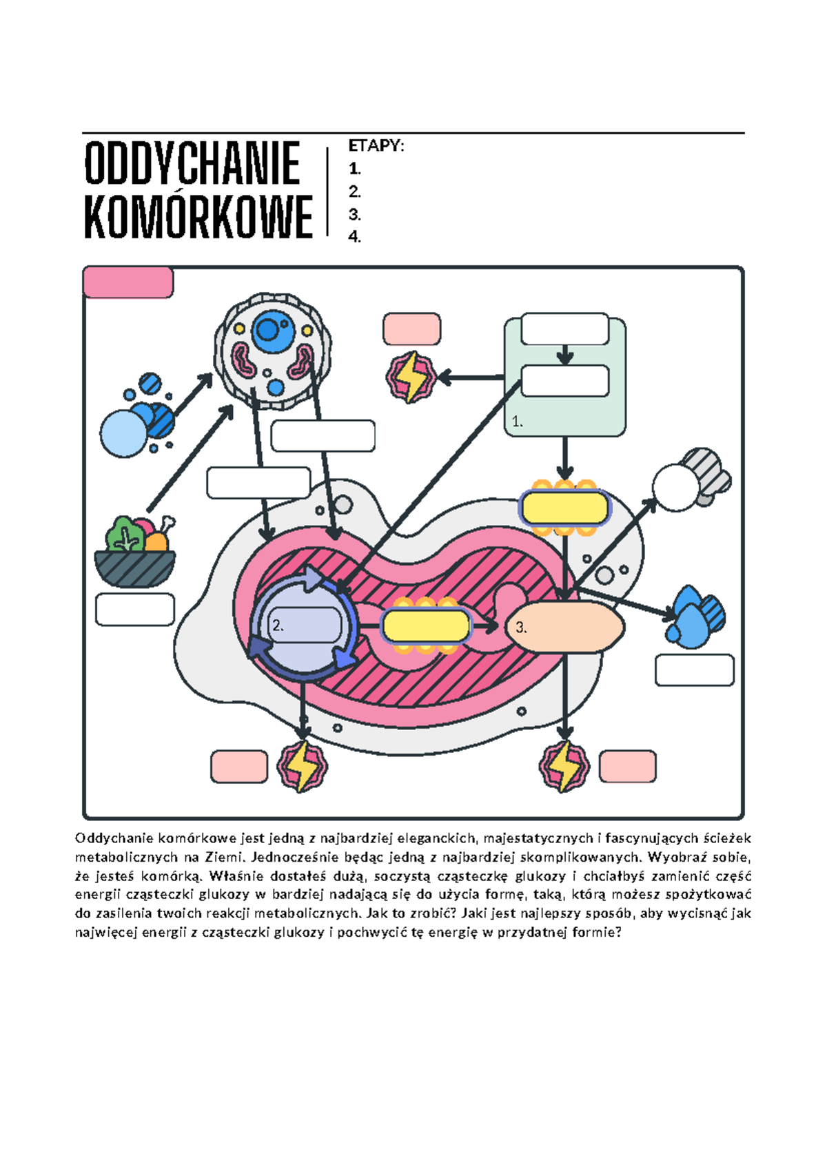 Oddychanie komórkowe karta pracy fajne - 3. 1. ODDYCHANIE KOMÓRKOWE 2