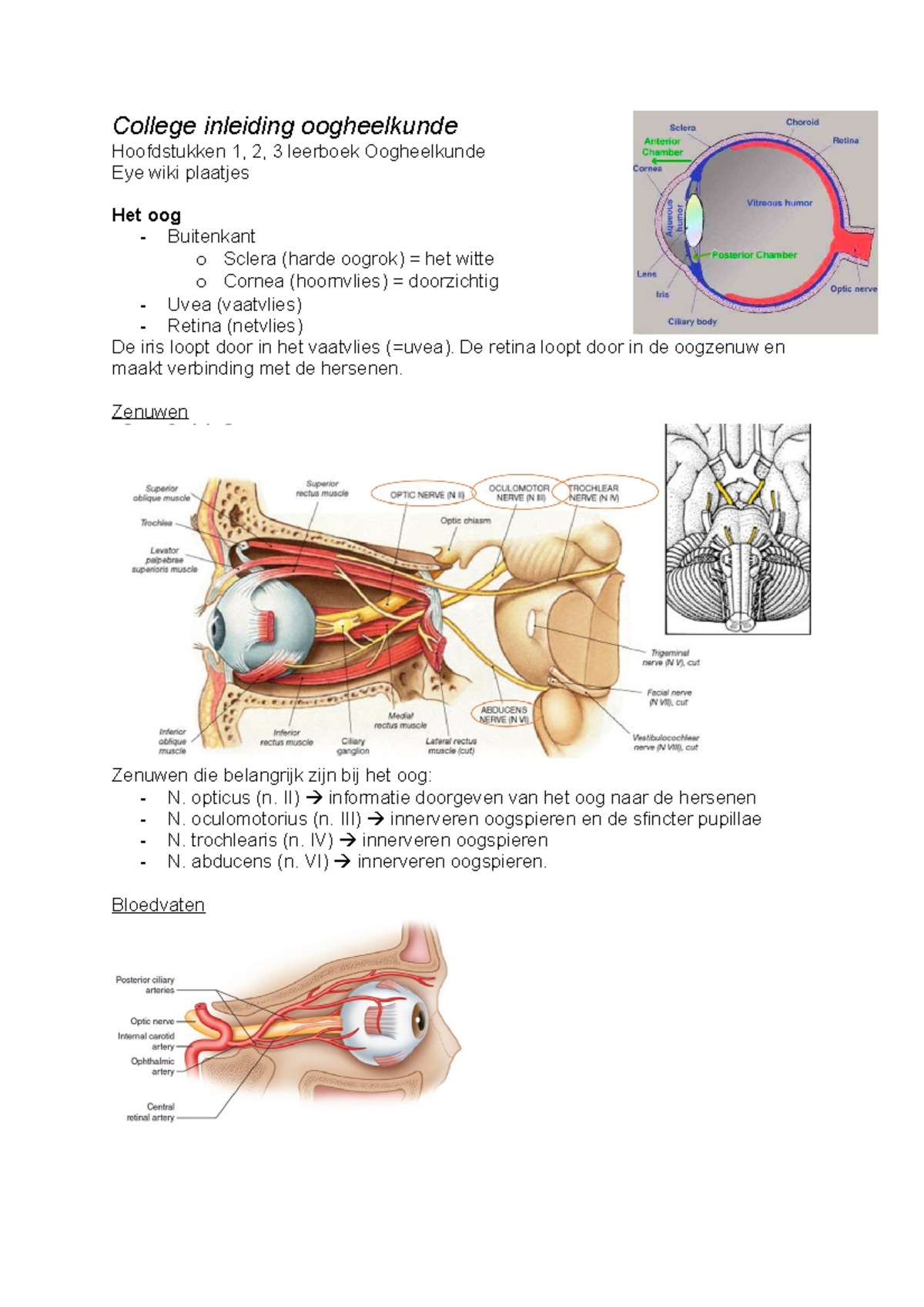 Colleges Neurologie En Oogheelkunde - College-aantekeningen Week 1 ...