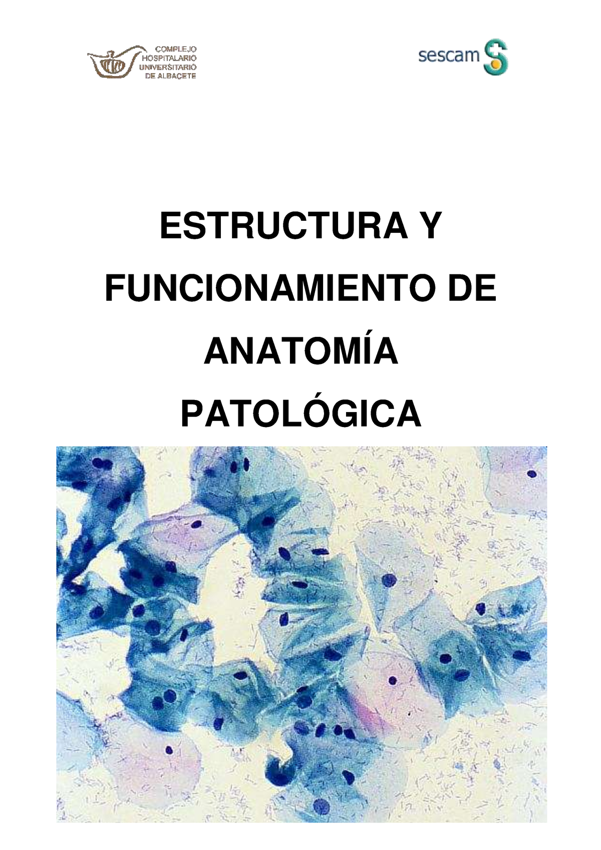 Estructura Y Funcionamiento - ESTRUCTURA Y FUNCIONAMIENTO DE ANATOMÍA ...