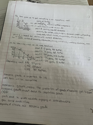 creating a business plan basics sim answers