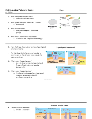 Pglo Prefab - Bacteria Plasmids - Ap Biology Lab: Bacterial 