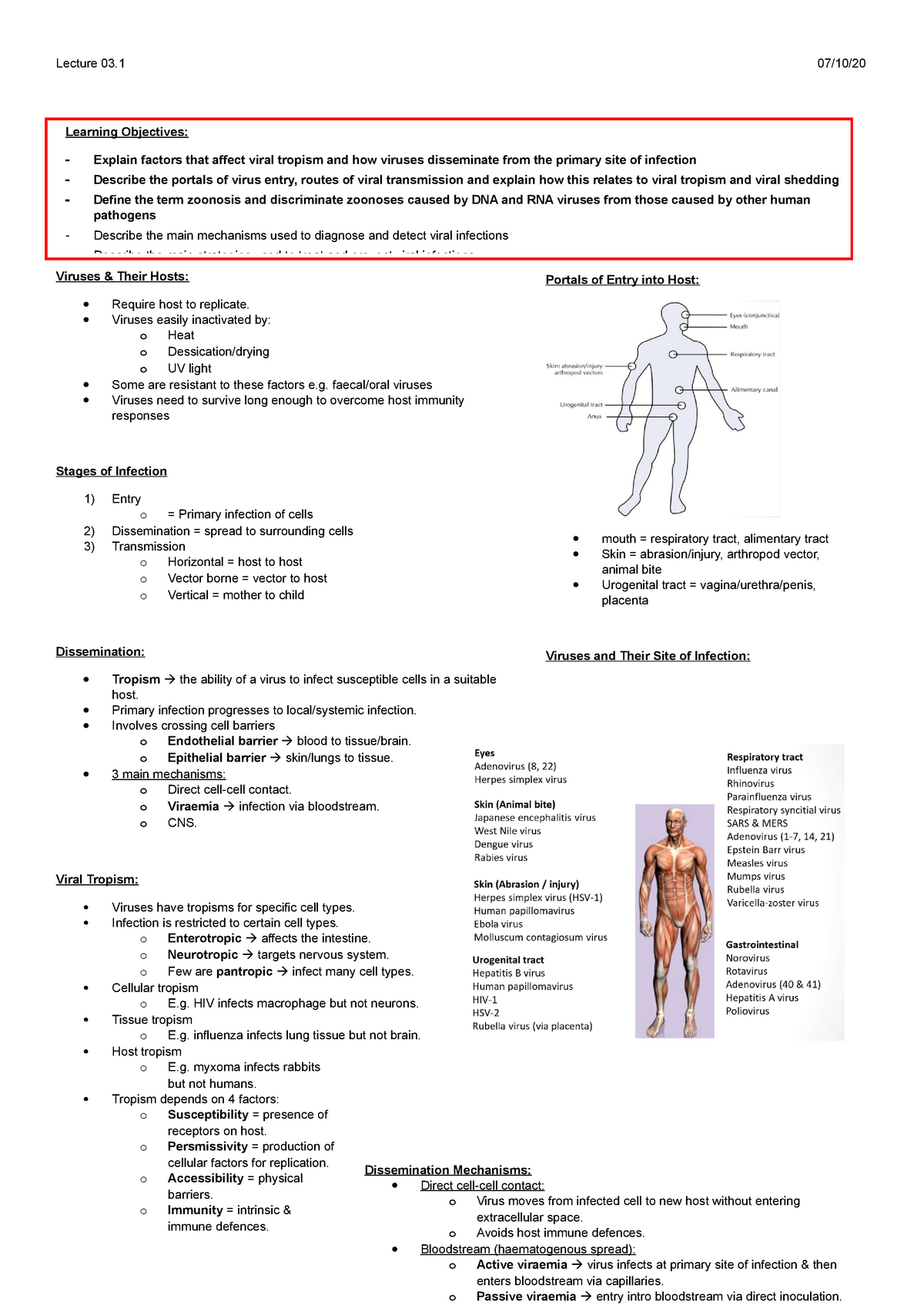 Infectious Disease Notes - Autumn - Lecture 03 07/10/ Viruses & Their ...