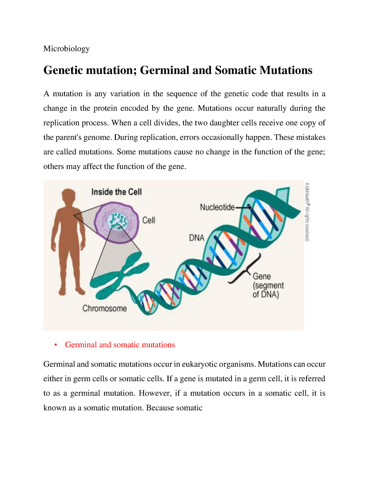 research papers on genetic mutation