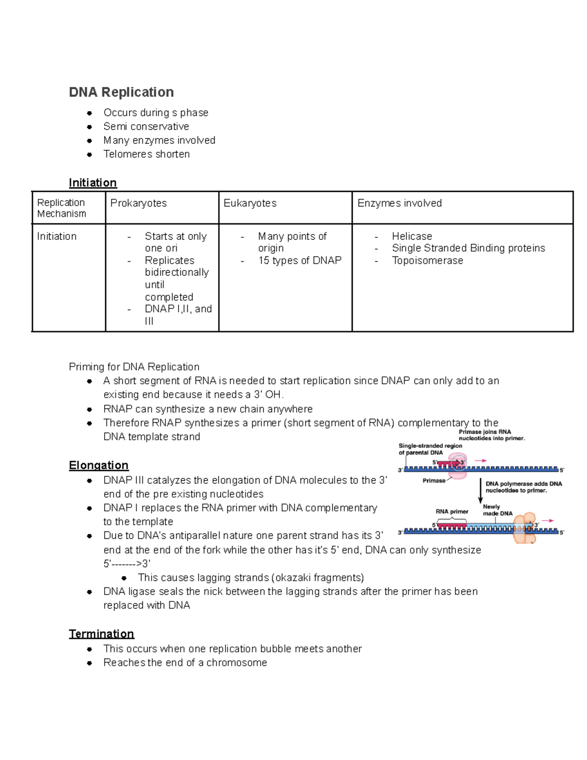 DNA replication - my notes - DNA Replication Occurs during s phase Semi ...