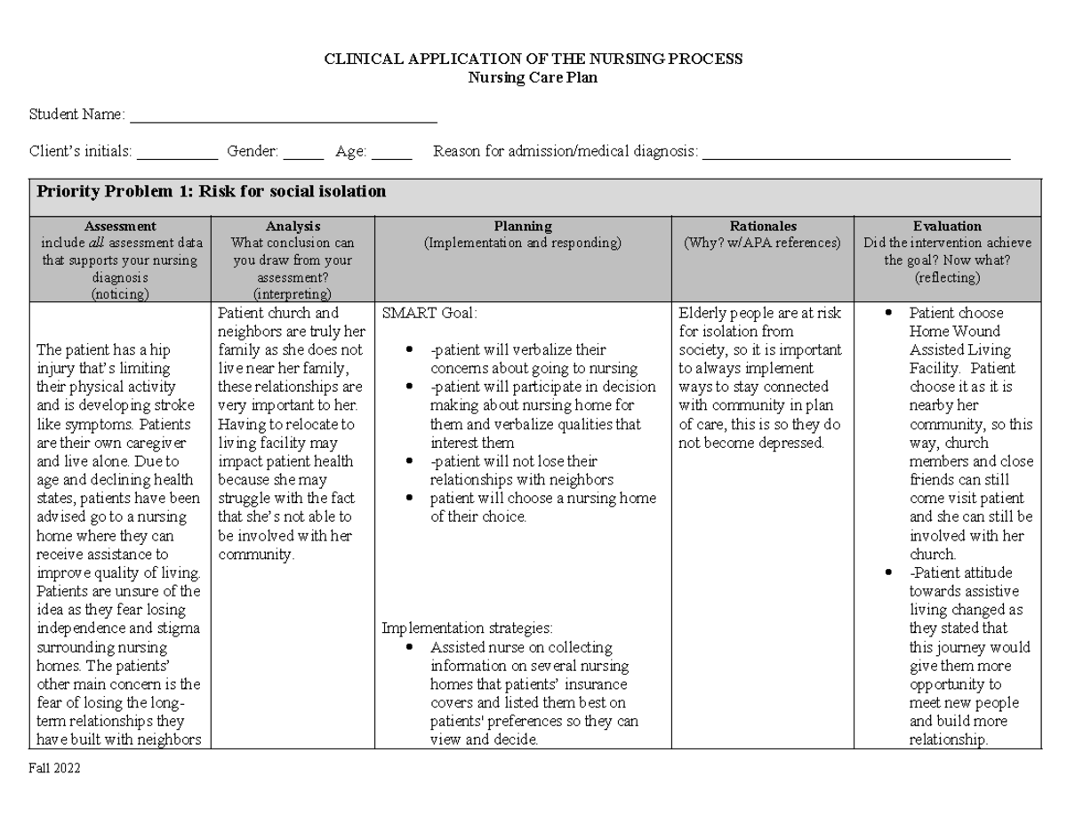 Care Plan Template (2) isolation 1 - CLINICAL APPLICATION OF THE ...