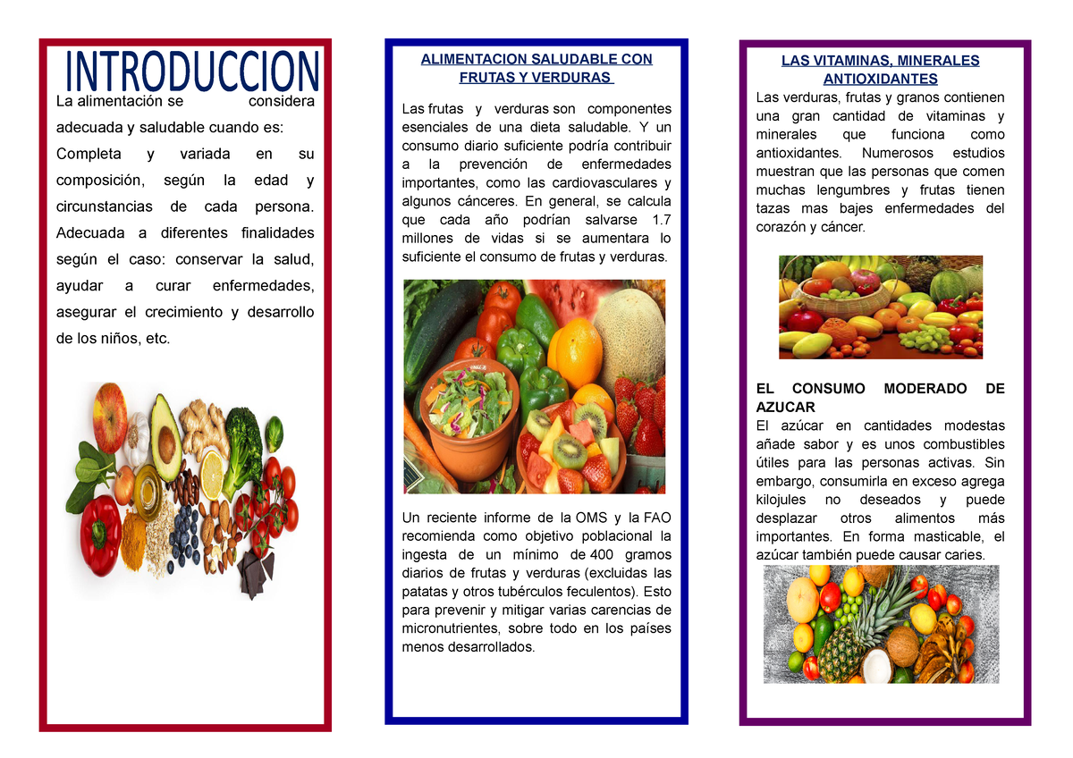 Alimentacion Saludable Triptico Las Vitaminas Minerales Antioxidantes Las Verduras Frutas Y 4721