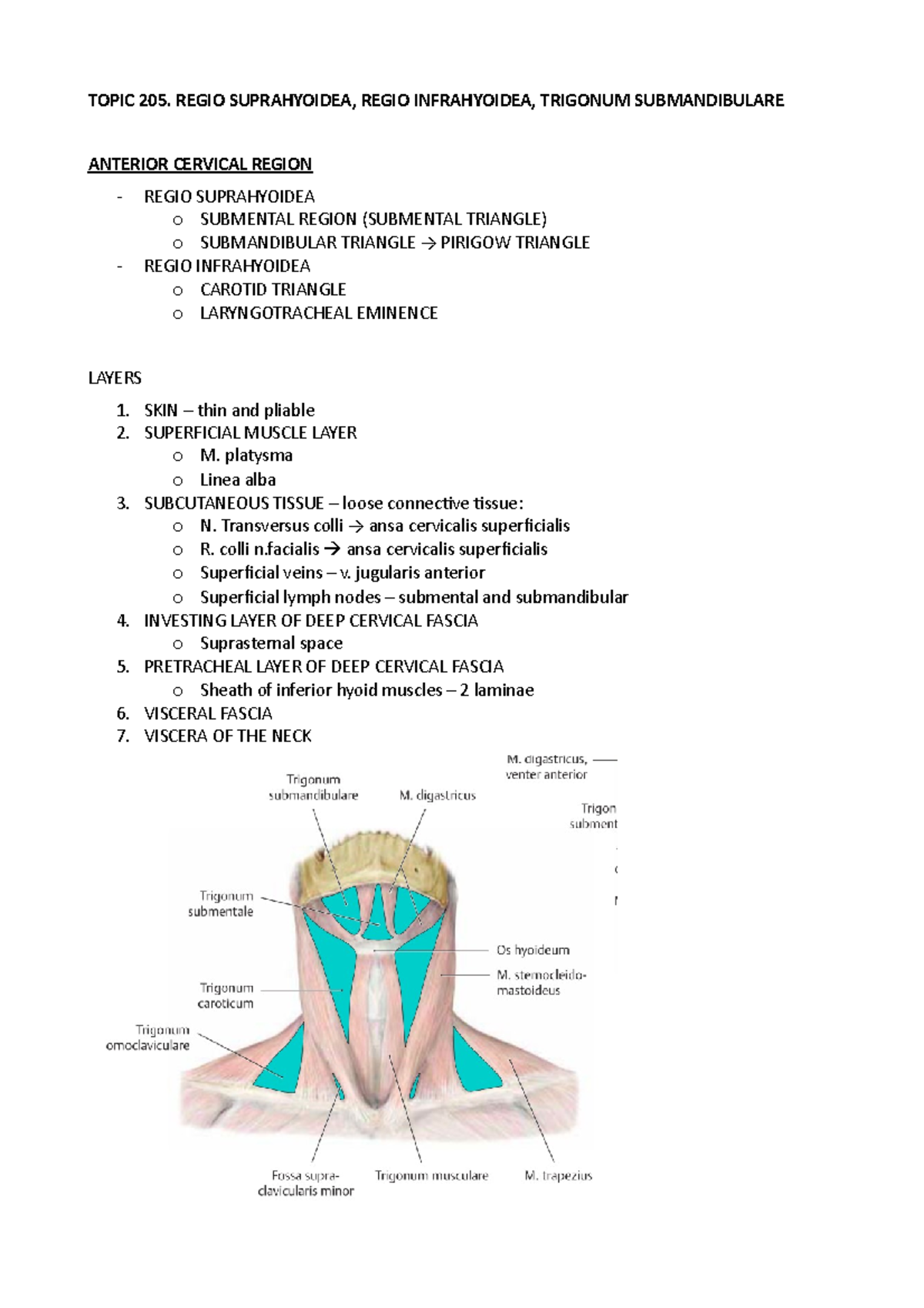 Topic 205. Regio Suprahyoidea, Regio Infrahyoidea, Trigonum ...