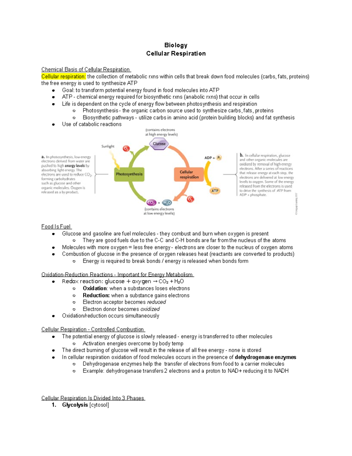 Biology - Cellular Respiration - Biology Cellular Respiration Chemical ...