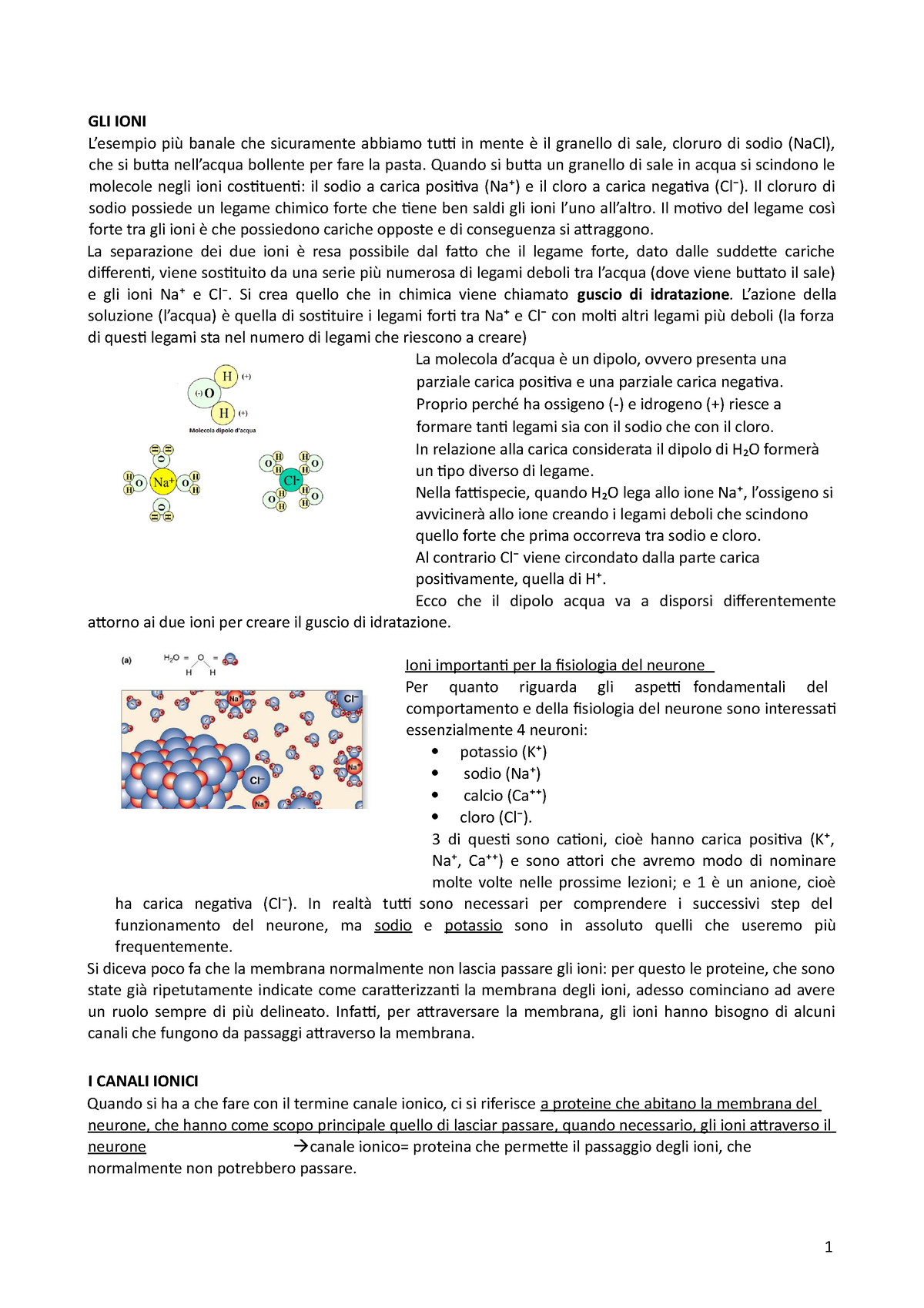 Ioni E Canali Ionici - GLI IONI L’esempio Più Banale Che Sicuramente ...