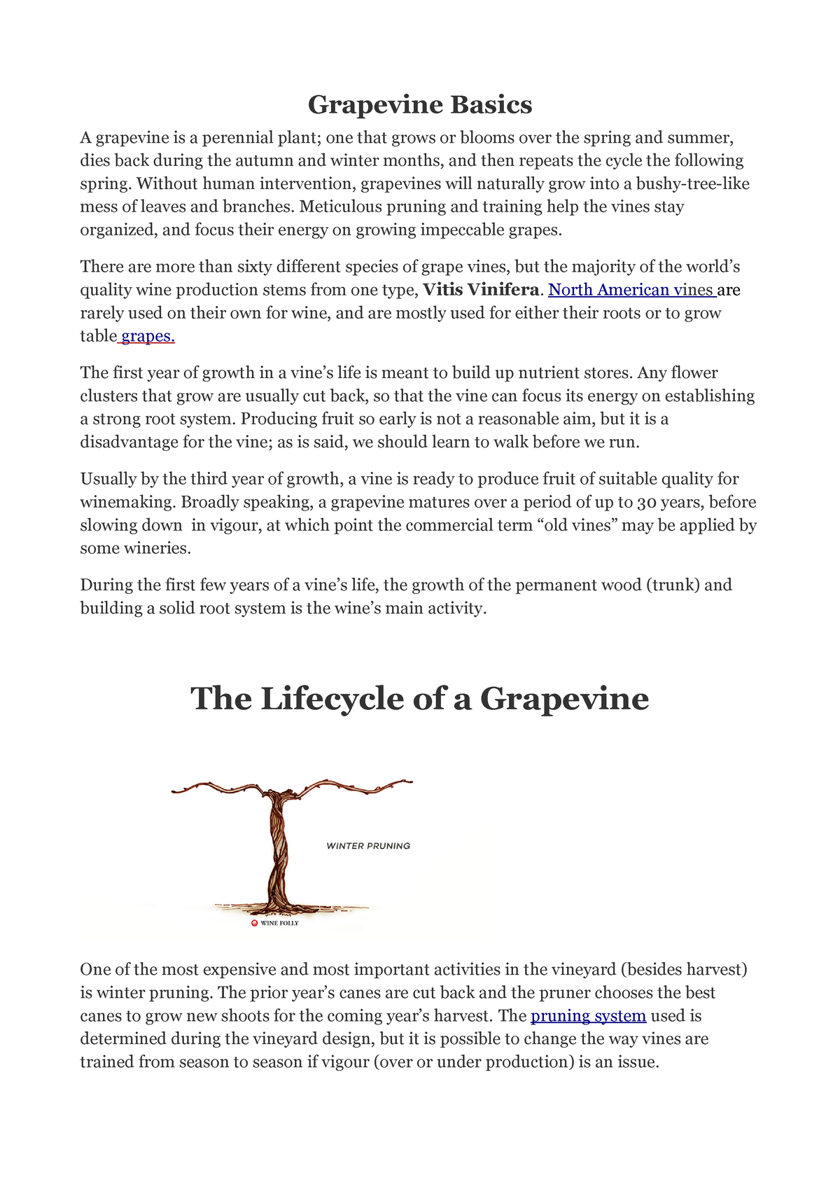 The lifecycle of a grapevine
